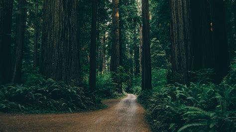 4K Wallpapers for Your Desktop Background.